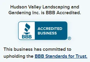 Better Business Bureau accredited business