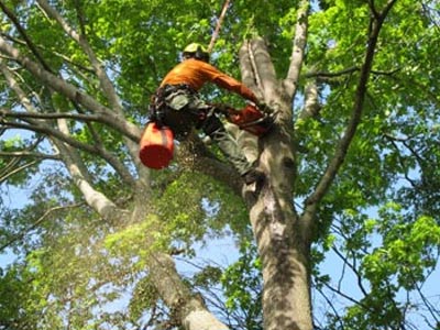 Retaining Wall Contractors