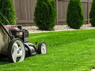 Landscape Contractors near me