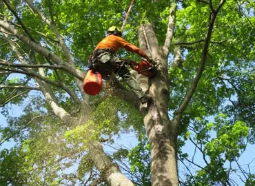 Landscape Contractors in Hudson, NY