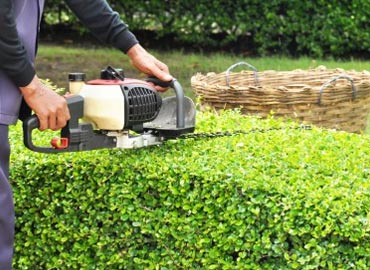 Lawn Care Services in Hudson, NY